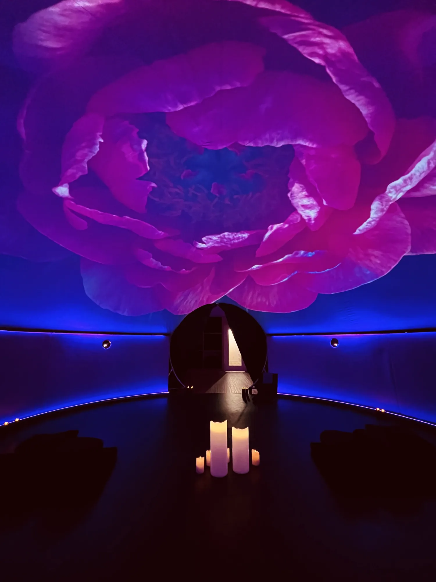The dome projecting a vast peony bloom - a quiet image of the pattern surfacing