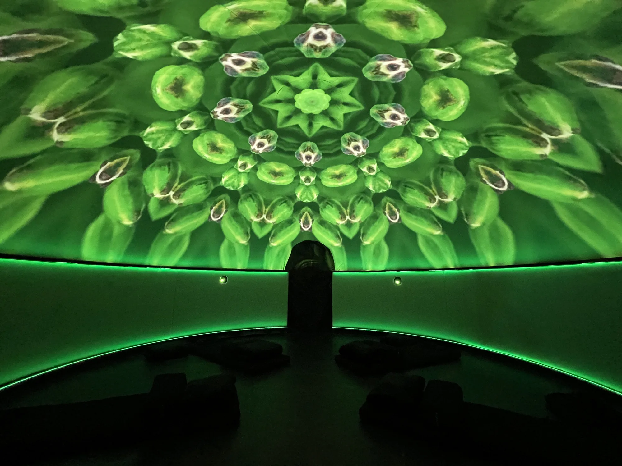An emerald kaleidoscopic projection inside the dome - patterns surfacing, dissolving, integrating