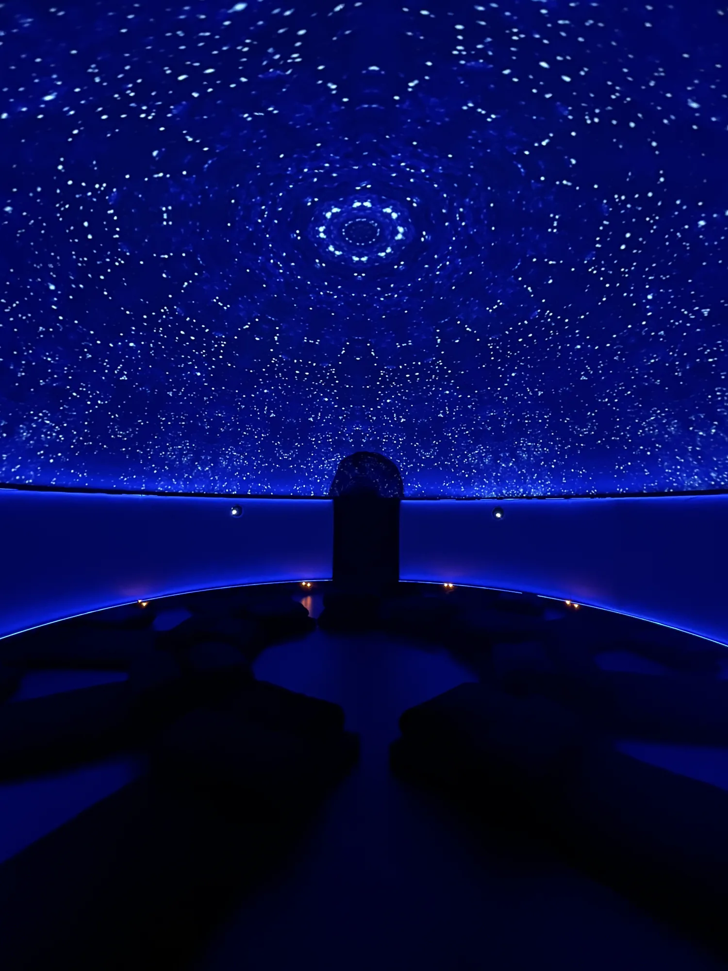 Inside the Sensorium dome - starlit projection inside the immersive nervous-system environment used in the IGNITE program